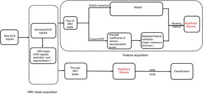 Renyi Distribution Entropy Analysis of Short-Term Heart Rate Variability Signals and Its Application in Coronary Artery Disease Detection